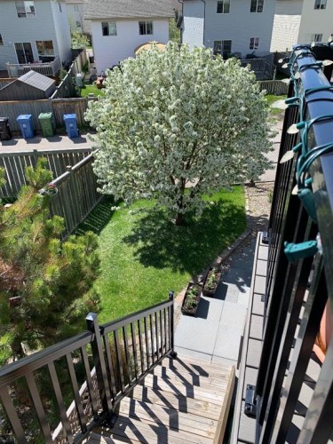 197 Arbour Stone Close Nw, Calgary, AB - Outdoor With Exterior