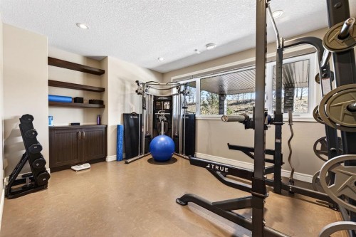 33 Waters Edge Drive, Heritage Pointe, AB - Indoor Photo Showing Gym Room