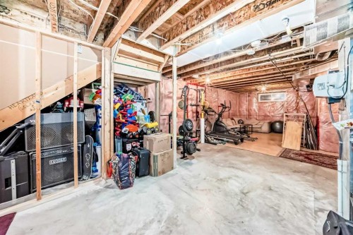 273 Tuscany Springs Way Nw, Calgary, AB - Indoor Photo Showing Basement