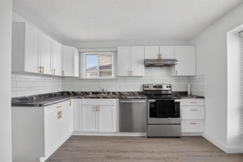 55 Falwood Place Ne, Calgary, AB - Indoor Photo Showing Kitchen With Double Sink