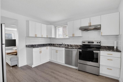 55 Falwood Place Ne, Calgary, AB - Indoor Photo Showing Kitchen With Upgraded Kitchen