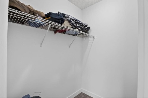 55 Falwood Place Ne, Calgary, AB - Indoor With Storage