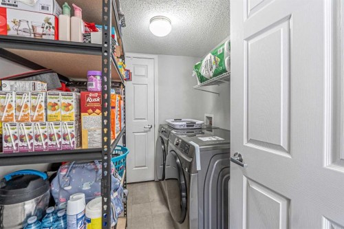 24 Cityscape Avenue Ne, Calgary, AB - Indoor Photo Showing Laundry Room