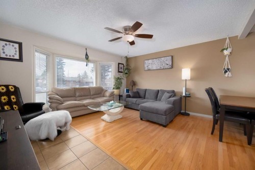 60 Doverview Place Se, Calgary, AB - Indoor Photo Showing Living Room
