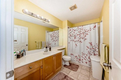 187 Bridlewood View Sw, Calgary, AB - Indoor Photo Showing Bathroom