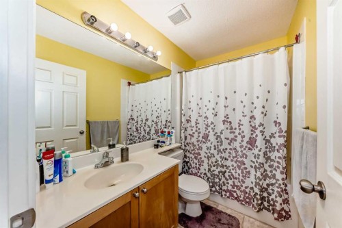 187 Bridlewood View Sw, Calgary, AB - Indoor Photo Showing Bathroom