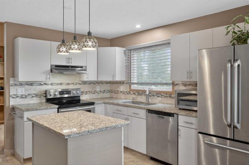 80 Deerbrook Road Se, Calgary, AB - Indoor Photo Showing Kitchen With Stainless Steel Kitchen With Upgraded Kitchen