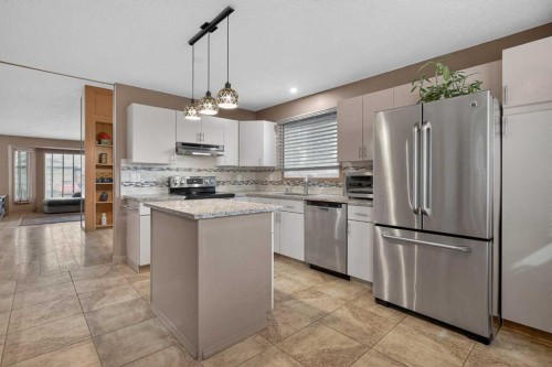 80 Deerbrook Road Se, Calgary, AB - Indoor Photo Showing Kitchen With Stainless Steel Kitchen With Upgraded Kitchen