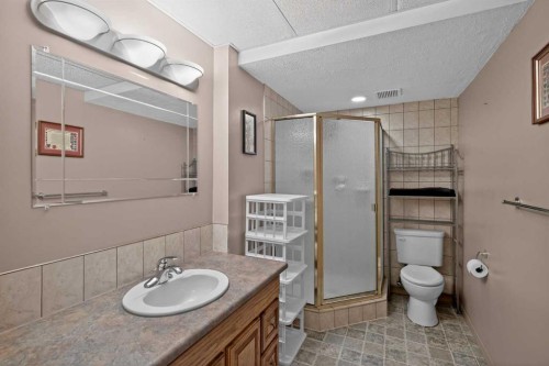 80 Deerbrook Road Se, Calgary, AB - Indoor Photo Showing Bathroom