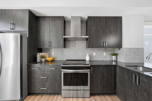 4135 Seton Drive Se, Calgary, AB - Indoor Photo Showing Kitchen With Stainless Steel Kitchen With Upgraded Kitchen