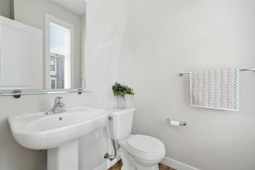 4135 Seton Drive Se, Calgary, AB - Indoor Photo Showing Bathroom