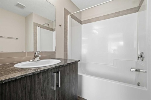 4135 Seton Drive Se, Calgary, AB - Indoor Photo Showing Bathroom