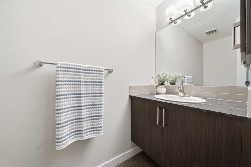 4135 Seton Drive Se, Calgary, AB - Indoor Photo Showing Bathroom