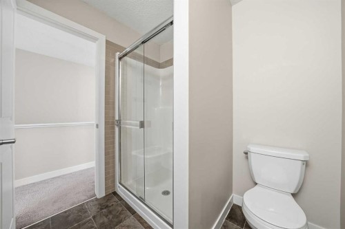 4135 Seton Drive Se, Calgary, AB - Indoor Photo Showing Bathroom