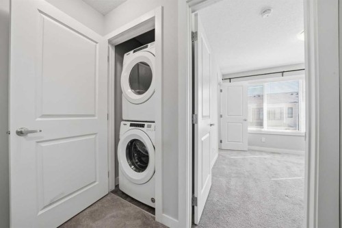 4135 Seton Drive Se, Calgary, AB - Indoor Photo Showing Laundry Room