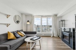 507-429 14 Street NW Calgary, AB T2N 2A3