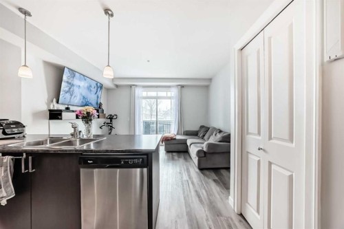 101-117 Copperpond Common Se, Calgary, AB - Indoor Photo Showing Kitchen With Double Sink