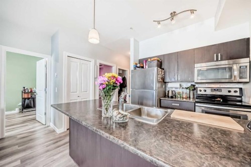 101-117 Copperpond Common Se, Calgary, AB - Indoor Photo Showing Kitchen With Double Sink With Upgraded Kitchen
