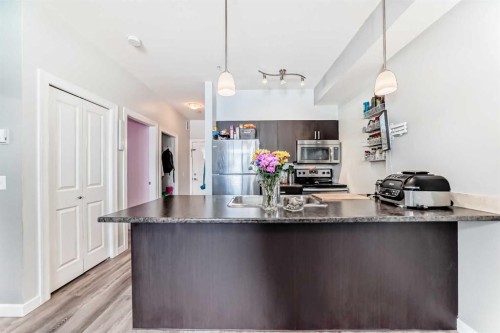 101-117 Copperpond Common Se, Calgary, AB - Indoor Photo Showing Kitchen With Upgraded Kitchen