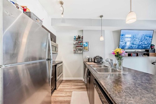 101-117 Copperpond Common Se, Calgary, AB - Indoor Photo Showing Kitchen With Double Sink