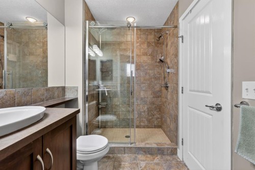 180 Walden Gate Se, Calgary, AB - Indoor Photo Showing Bathroom