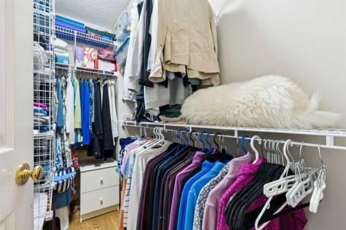 38 Citadel Peak Circle Nw, Calgary, AB 