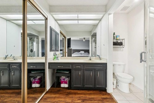 13811 Deer Run Boulevard Se, Calgary, AB - Indoor Photo Showing Bathroom