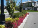 42 Royal Crest Point Nw, Calgary, AB  - Outdoor 
