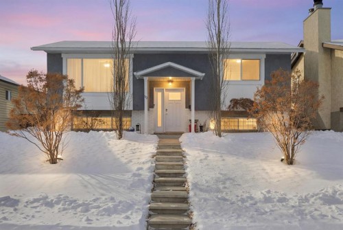 172 Rundlefield Crescent Ne, Calgary, AB - Outdoor