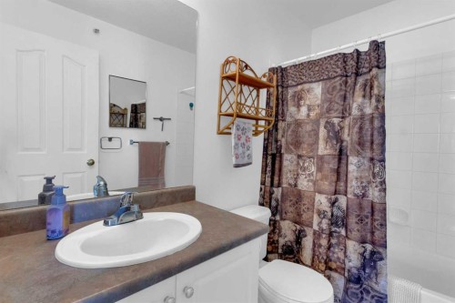 308-2000 Valleyview Park Se, Calgary, AB - Indoor Photo Showing Bathroom