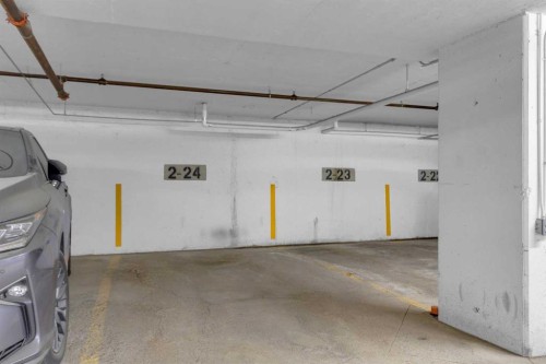 308-2000 Valleyview Park Se, Calgary, AB - Indoor Photo Showing Garage