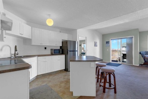 308-2000 Valleyview Park Se, Calgary, AB - Indoor Photo Showing Kitchen With Double Sink