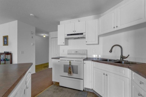 308-2000 Valleyview Park Se, Calgary, AB - Indoor Photo Showing Kitchen With Double Sink