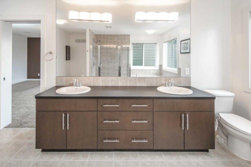 238 Silverado Plains Circle Sw, Calgary, AB - Indoor Photo Showing Bathroom