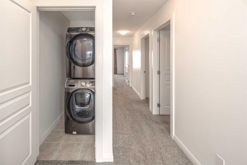 238 Silverado Plains Circle Sw, Calgary, AB - Indoor Photo Showing Laundry Room