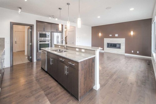 238 Silverado Plains Circle Sw, Calgary, AB - Indoor Photo Showing Kitchen With Fireplace With Stainless Steel Kitchen With Double Sink With Upgraded Kitchen