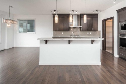 238 Silverado Plains Circle Sw, Calgary, AB - Indoor Photo Showing Kitchen With Upgraded Kitchen
