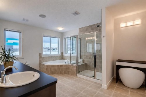 238 Silverado Plains Circle Sw, Calgary, AB - Indoor Photo Showing Bathroom