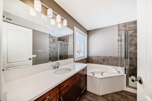 259 St Moritz Drive Sw, Calgary, AB - Indoor Photo Showing Bathroom