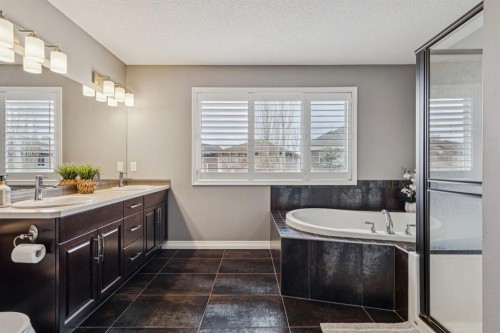 54 Auburn Glen Place Se, Calgary, AB - Indoor Photo Showing Bathroom
