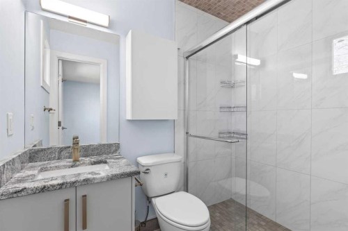 55 Whitehaven Crescent Ne, Calgary, AB - Indoor Photo Showing Bathroom