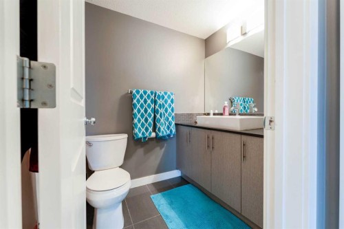 2410-240 Skyview Ranch Road Ne, Calgary, AB - Indoor Photo Showing Bathroom