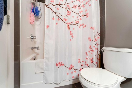 2410-240 Skyview Ranch Road Ne, Calgary, AB - Indoor Photo Showing Bathroom