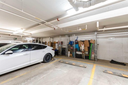 2410-240 Skyview Ranch Road Ne, Calgary, AB - Indoor Photo Showing Garage