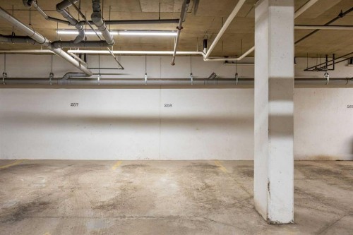407-2300 Evanston Square Nw, Calgary, AB - Indoor Photo Showing Garage