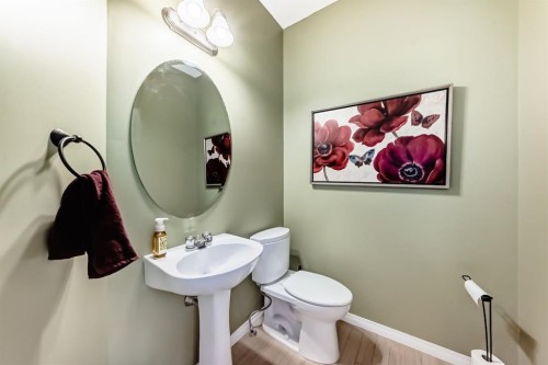 111 Ranch Ridge Meadow, Strathmore, AB - Indoor Photo Showing Bathroom