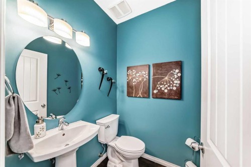 65 Morningside Circle Sw, Airdrie, AB - Indoor Photo Showing Bathroom
