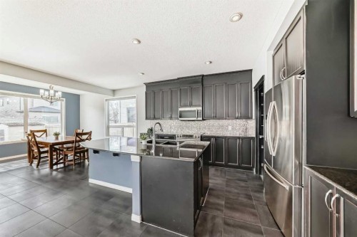 65 Morningside Circle Sw, Airdrie, AB - Indoor Photo Showing Kitchen With Upgraded Kitchen