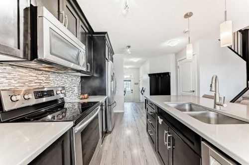 289 Auburn Meadows Place Se, Calgary, AB - Indoor Photo Showing Kitchen With Double Sink With Upgraded Kitchen