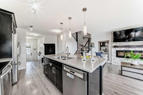 289 Auburn Meadows Place Se, Calgary, AB - Indoor Photo Showing Kitchen With Fireplace With Double Sink With Upgraded Kitchen